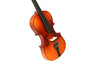Violin  (Medium size)