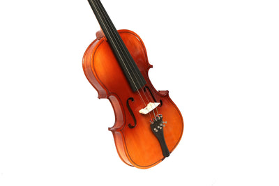 Violin  (Medium size)