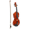 Violin Concert Model