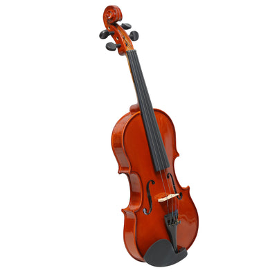 Violin Concert Model